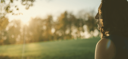 Banner Tentary (1) Banner Tentary (1)